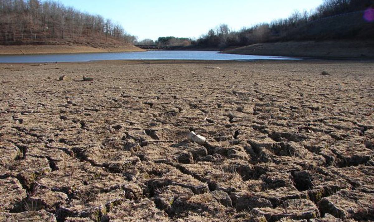 Europe&rsquo;s Rivers Are at Record Lows &mdash; and the Number That Decides Whether Cargo Moves Is a 9-Inch Reading at a Village Called Kaub