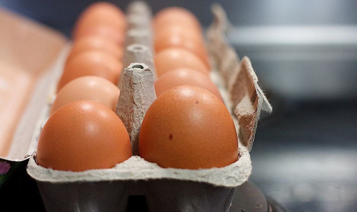 The Egg Recall Is 1.6 Million Dozen
